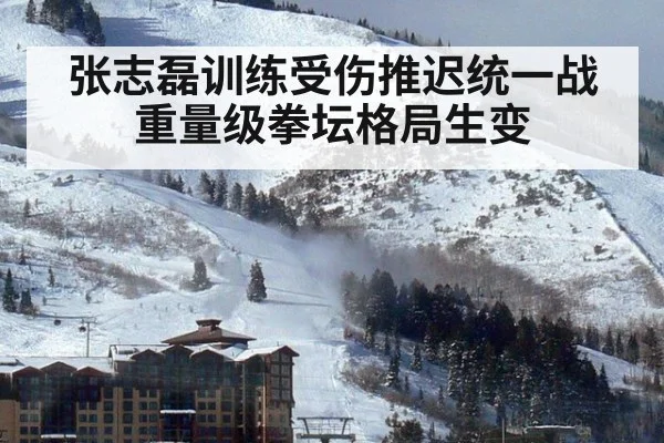 张志磊训练受伤推迟统一战 重量级拳坛格局生变